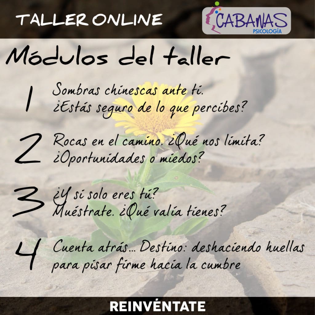 Taller online "Reinvéntate" módulos