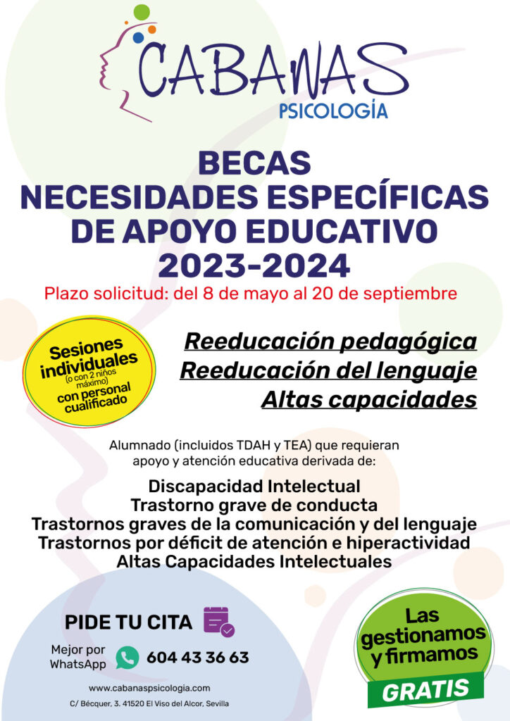 cartel Becas Necesidades Apoyo 2023