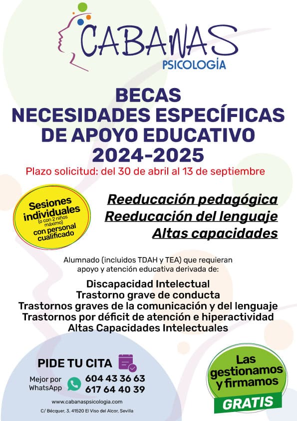 Becas NEAE 2024